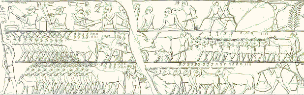 File:Counts tomb 75 gizeh-lepsius.gif