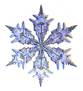 File:Snowflake 300h.jpg