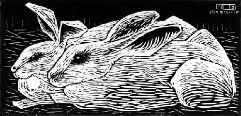 File:Rabbits.jpg