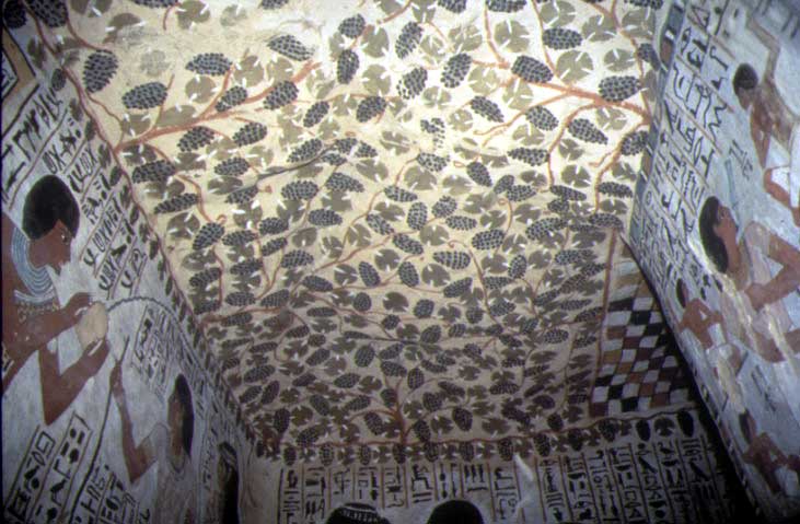 File:Sennefer-ceiling.jpg