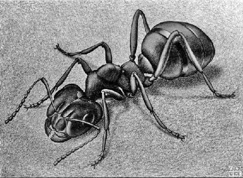 File:Ant-1943.jpg