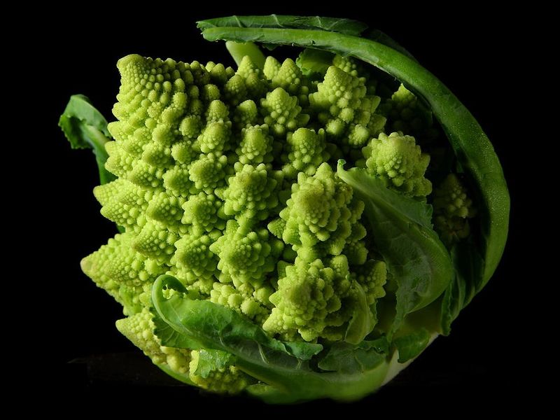 File:Romanesco-Broccoli.jpg