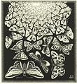 Butterflies (1950)