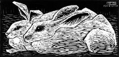 Escher Artwork Gallery - EscherMath