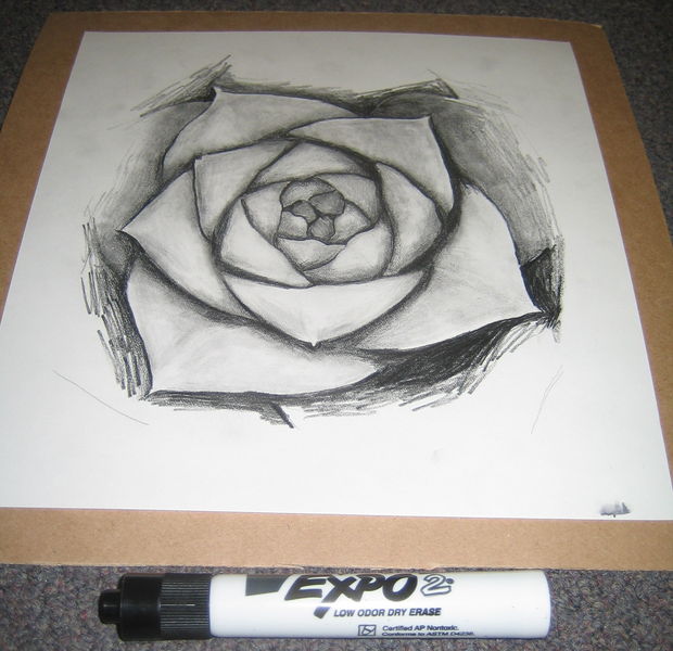 File:Art-math-s08-rose.jpg